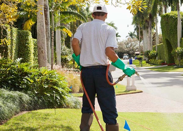 About Bob White WV Pest Control